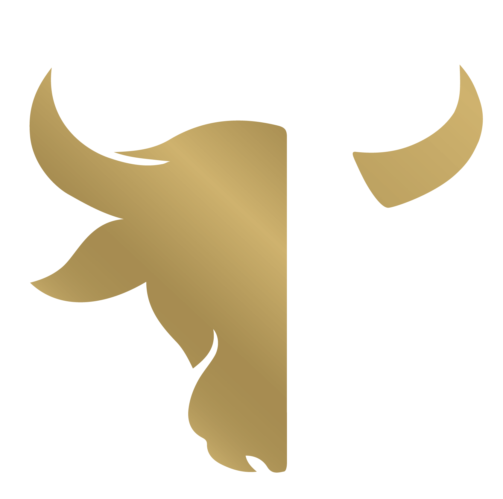 loader image